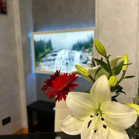 Angel's House 罗马